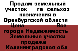 Продам земельный участок 800 га. сельхоз назначения в Оренбургской области. › Цена ­ 20 000 000 - Все города Недвижимость » Земельные участки продажа   . Калининградская обл.,Светловский городской округ 